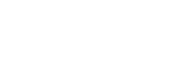 MIZUNO LOGISTICS